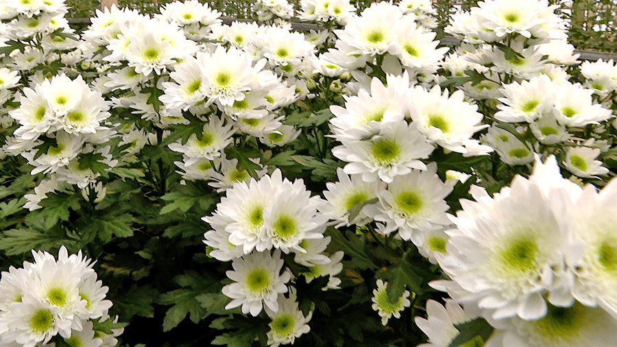    © АО "ТВ Центр"