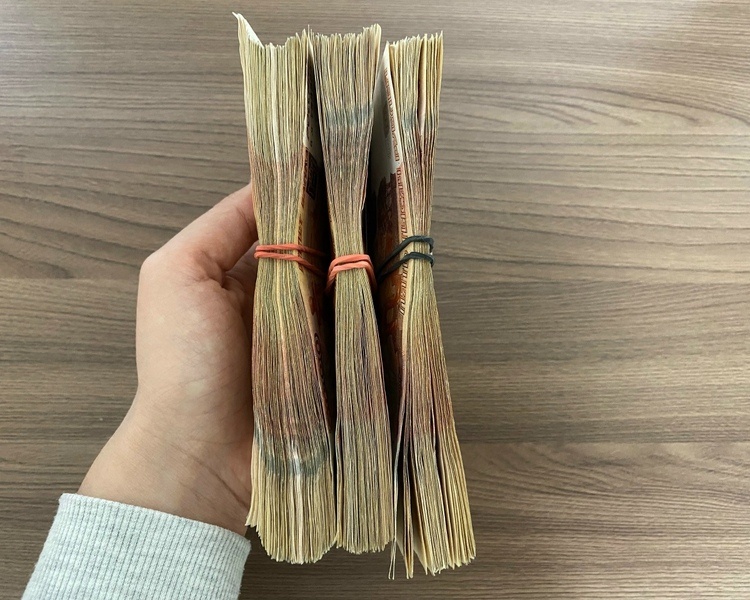     В Курской области за 2025 год выявили 35 поддельных купюр