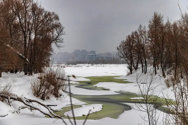    Фото Андрея Заржецкого