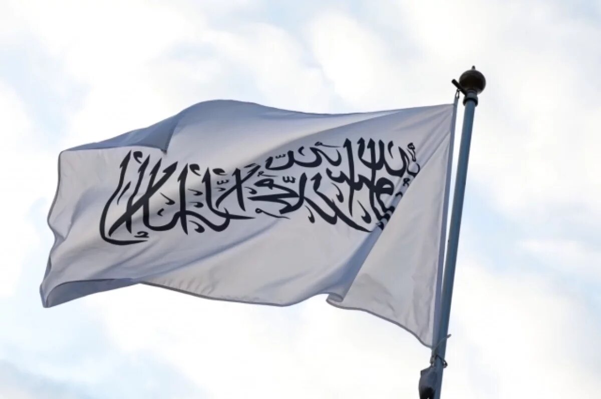    Афганские перцы, огурцы и зелень собьют безумные цены на овощи в Оренбурге