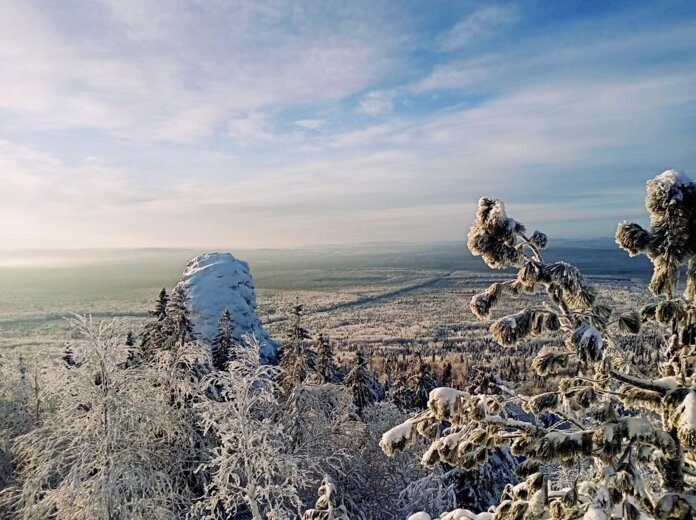    Фото: В курсе.ру