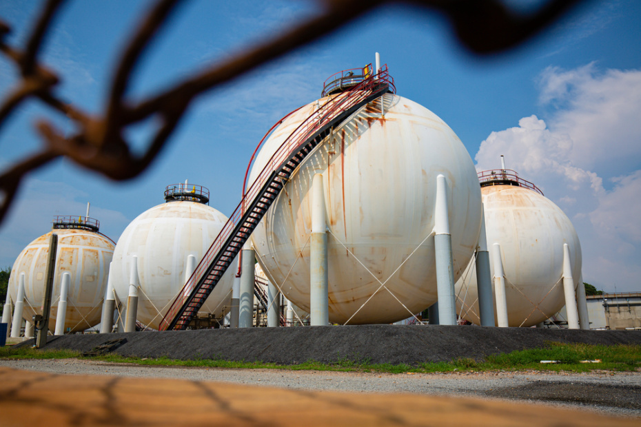    Shutterstock/FOTODOM