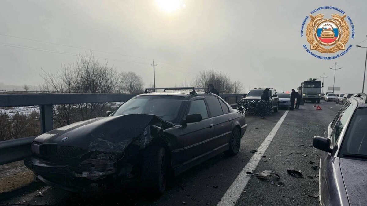    Фото: t.me/gibdd39