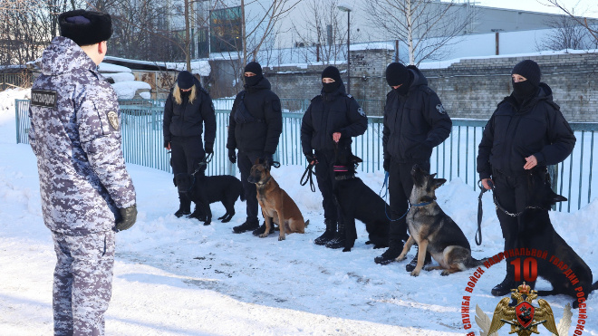 Фото: ГУ Росгвардии по Санкт-Петербургу и Лен.области
