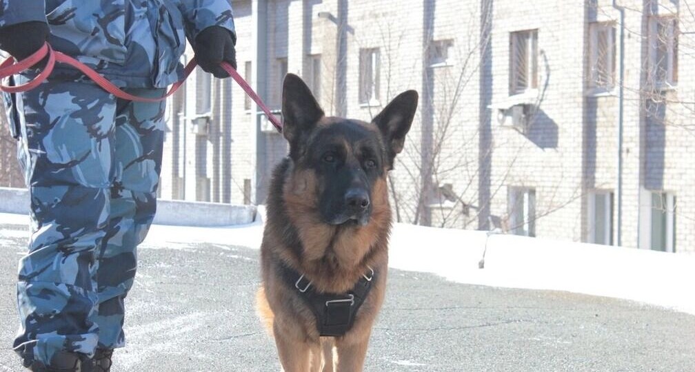 Пермских студентов эвакуировали из-за писем о минировании