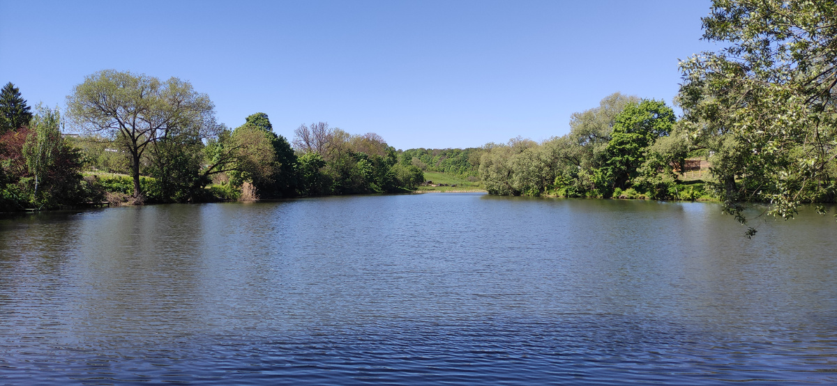 Пруд на территории 