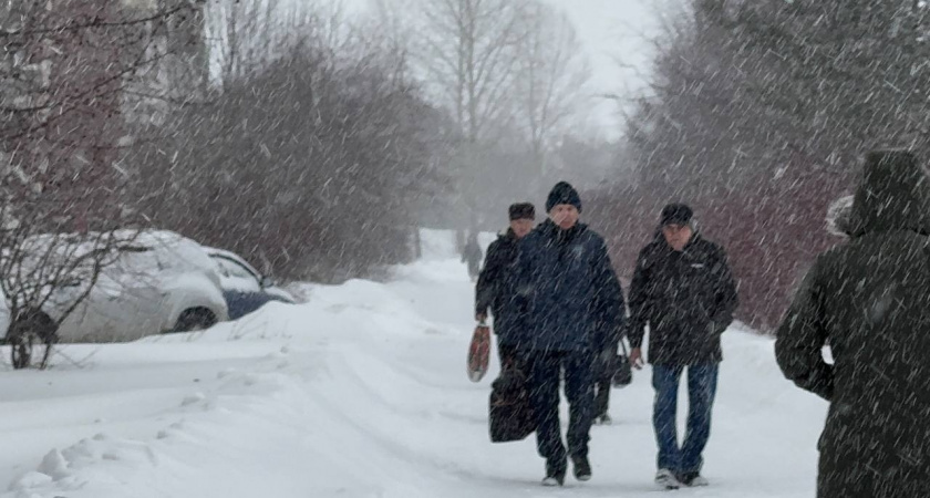    Фото prochepetsk.ru