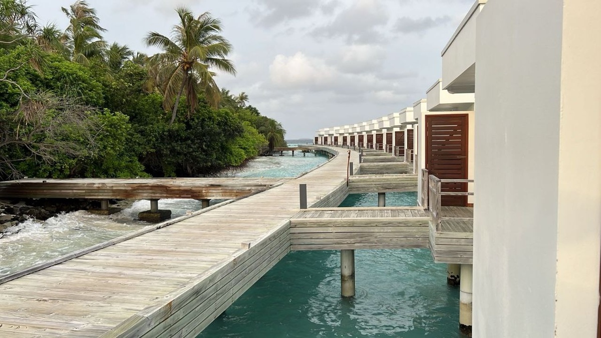     Фото: "Бриф24"