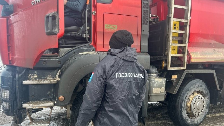    Автор фото: t.me/ecology47