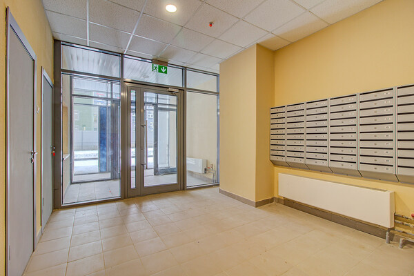 Shutterstock/FOTODOM   📷