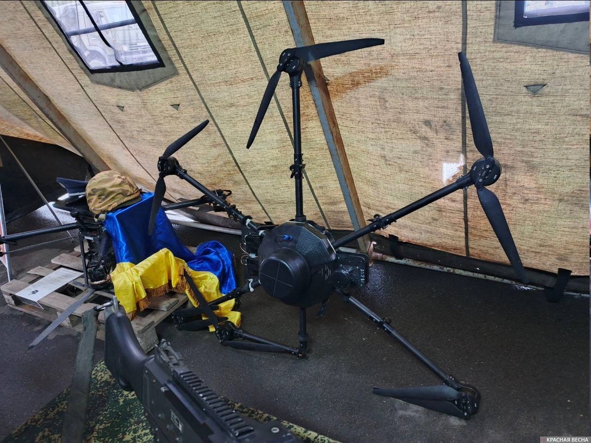     Украинский дрон   
Ольга Перегуд (с) ИА Красная Весна