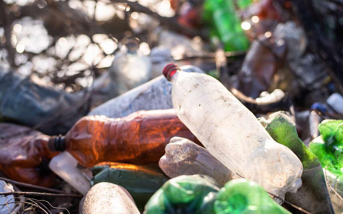    Полигон на вырост: к 2028 году воронежскому мусорному бизнесу придется найти 2 млрд на рекультивацию, пока след собственников уходит в Адыгею и Дубай Фото – ru.freepik.com