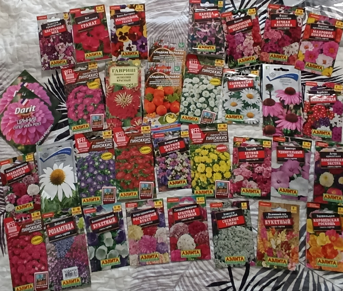 Пополнение в коллекции