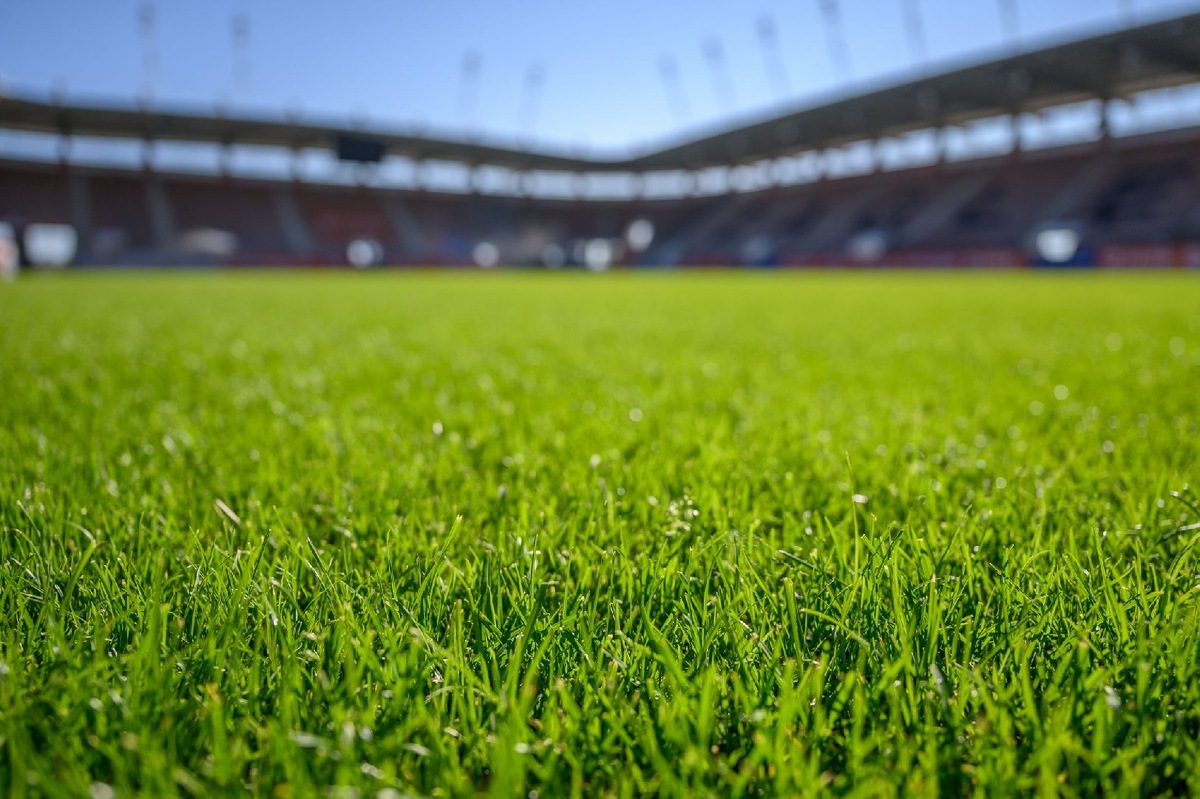    Фото: iStock/Dziurek