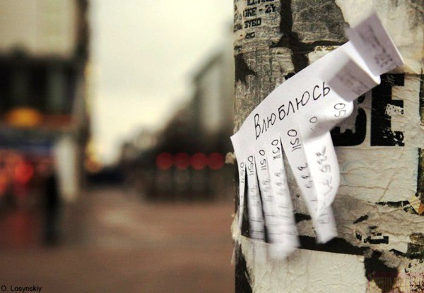 фото из интернета