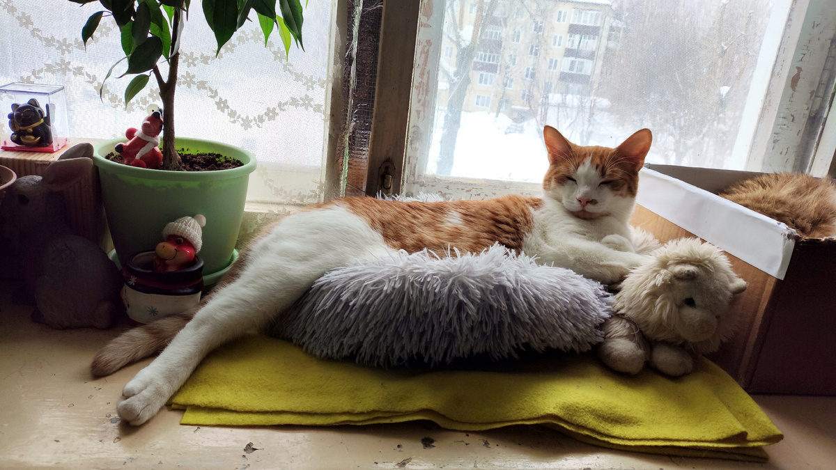 фото автора: подайте - ка барину палочек ватных для досуга и занавесок для проявления творческих способностей!