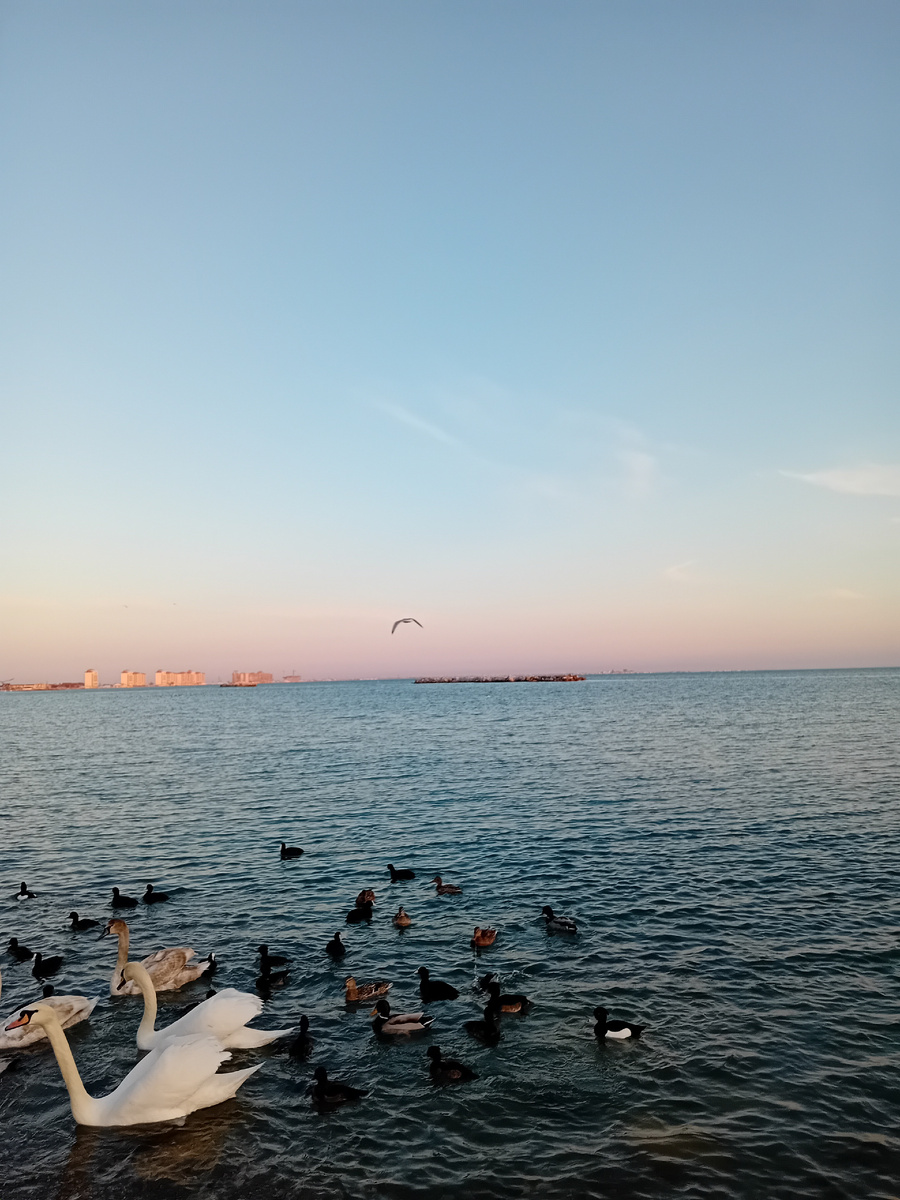 Авторское фото.