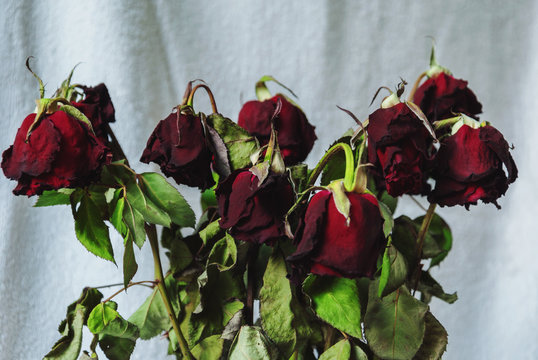 Типичная картина 11 марта