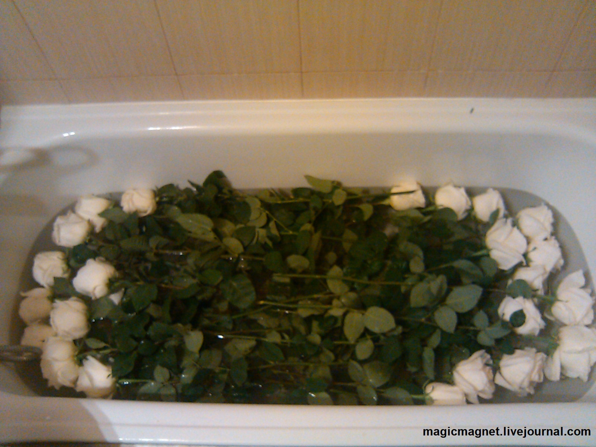 Устройте цветам ванную с лепестками... Ладно, неважно