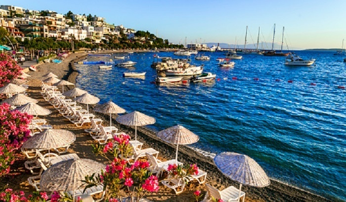 Ученый предупредил об опасных медузах на пляжах Антальи