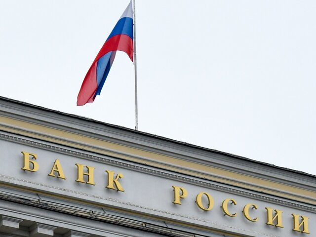    Фото: Москва 24/Никита Симонов