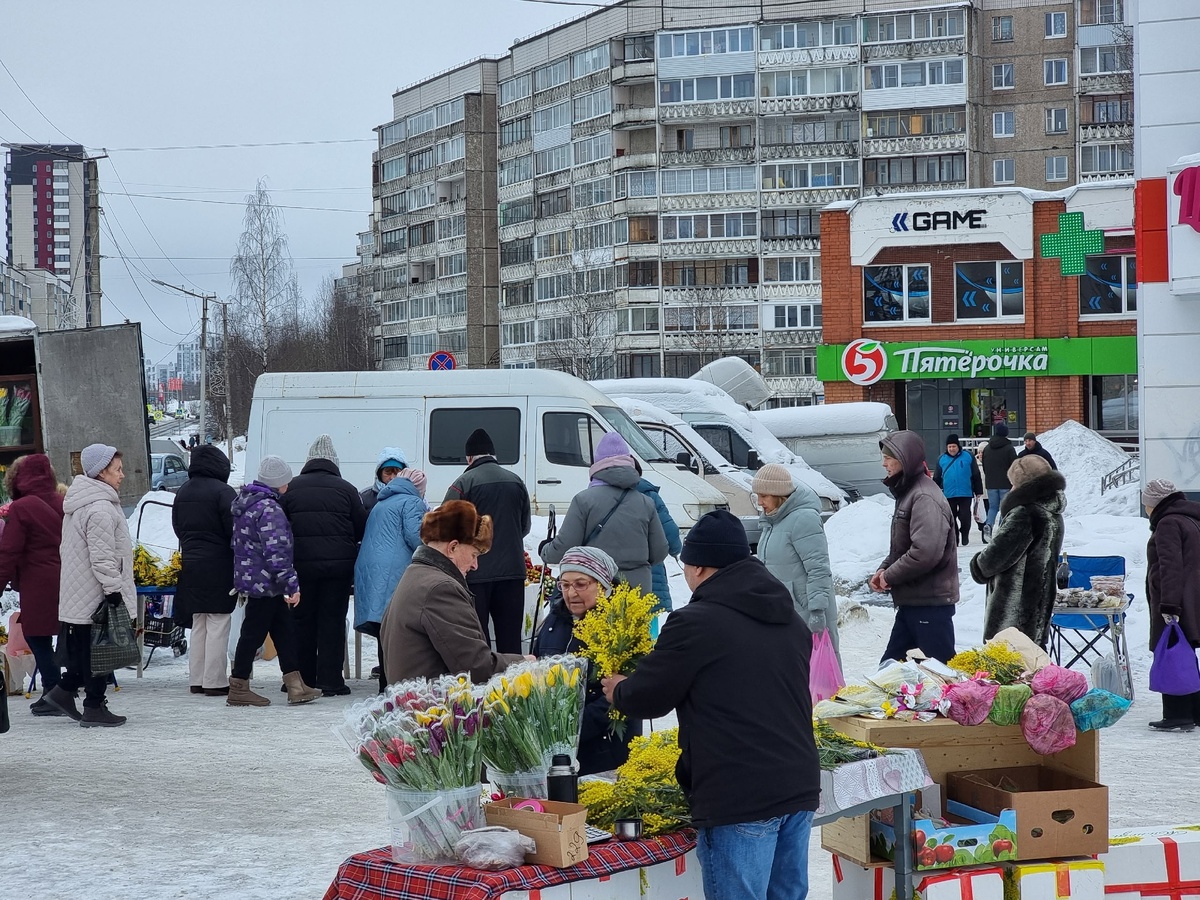    Ирина Яковлева