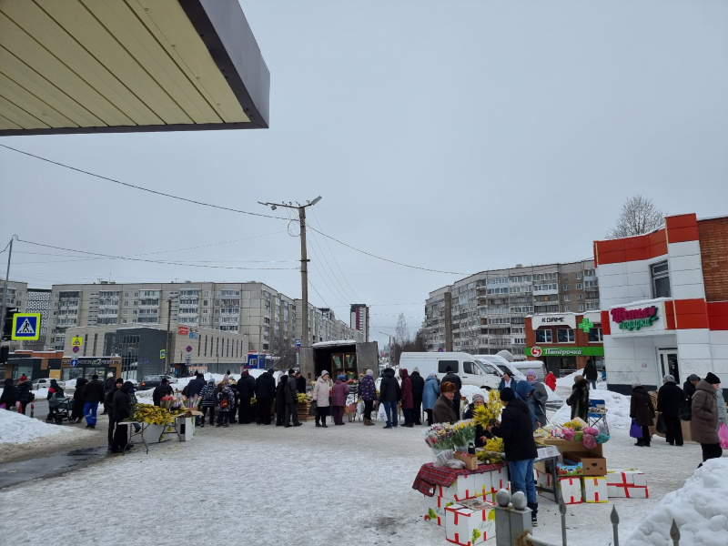    Жители Петрозаводска устроили ажиотаж у лотков с мимозойИрина Яковлева