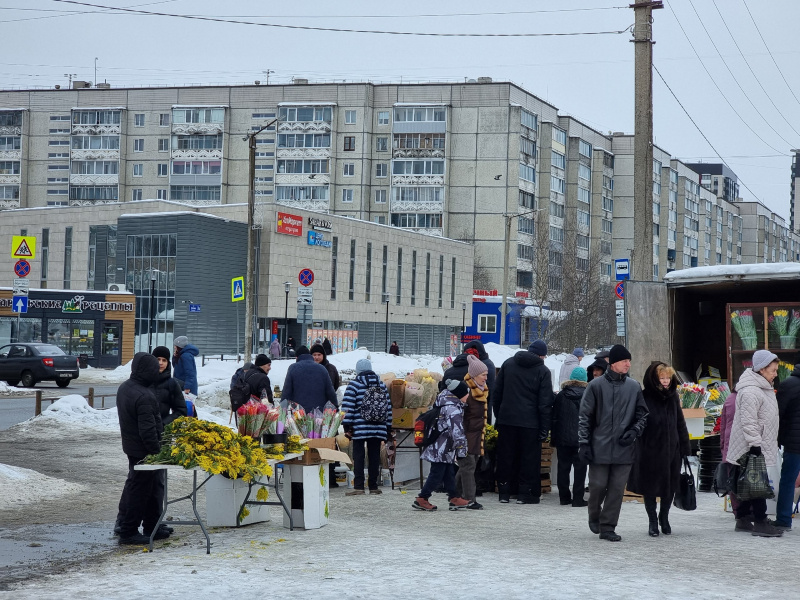     Жители Петрозаводска устроили ажиотаж у лотков с мимозойИрина Яковлева