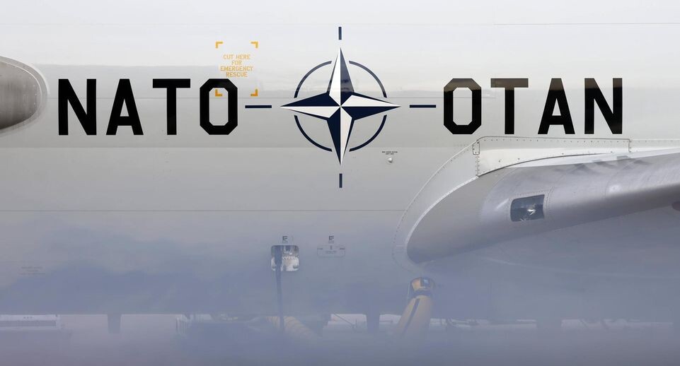    IMAGO/Christoph Hardt / www.globallookpress.com