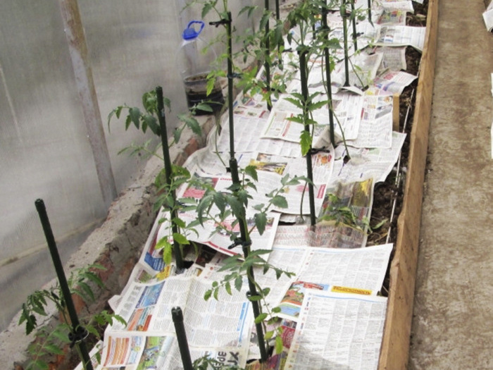 Зачем на грядки стелют картон и газеты. Не вредно ли это?