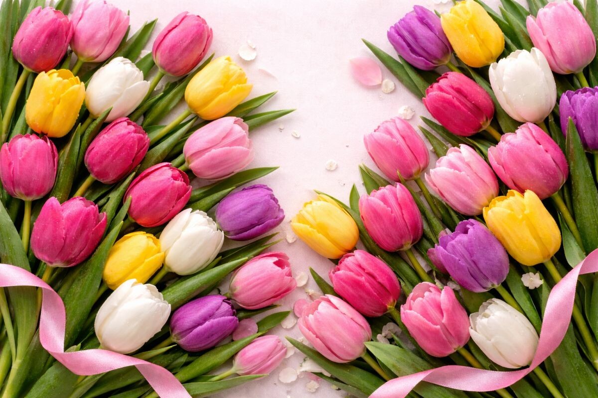    Фото: сгенерировано ии