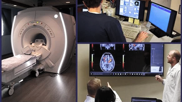Технология «инженерии сновидений»: Снимок фМРТ мозга участника эксперимента Northwestern University (2026). Подсвеченные зоны — зрительная кора и гиппокамп, которые активируются во время TMR (целевой реактивации памяти). Ученые не просто следят за сном, они учатся встраивать задачи в нейронный ландшафт.
