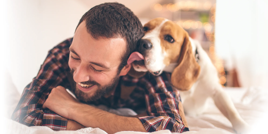 Как узнать, что ты самый любимый человек своей собаки?