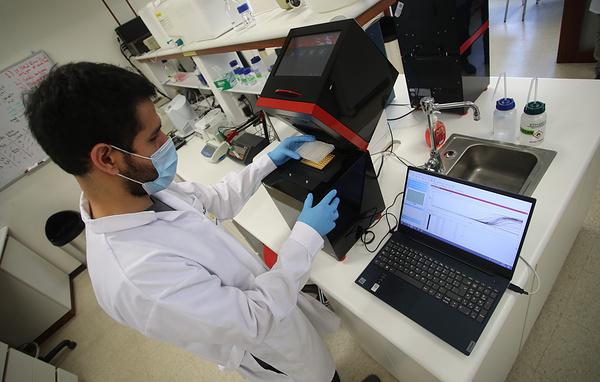 Raul Sifuentes/Getty Images