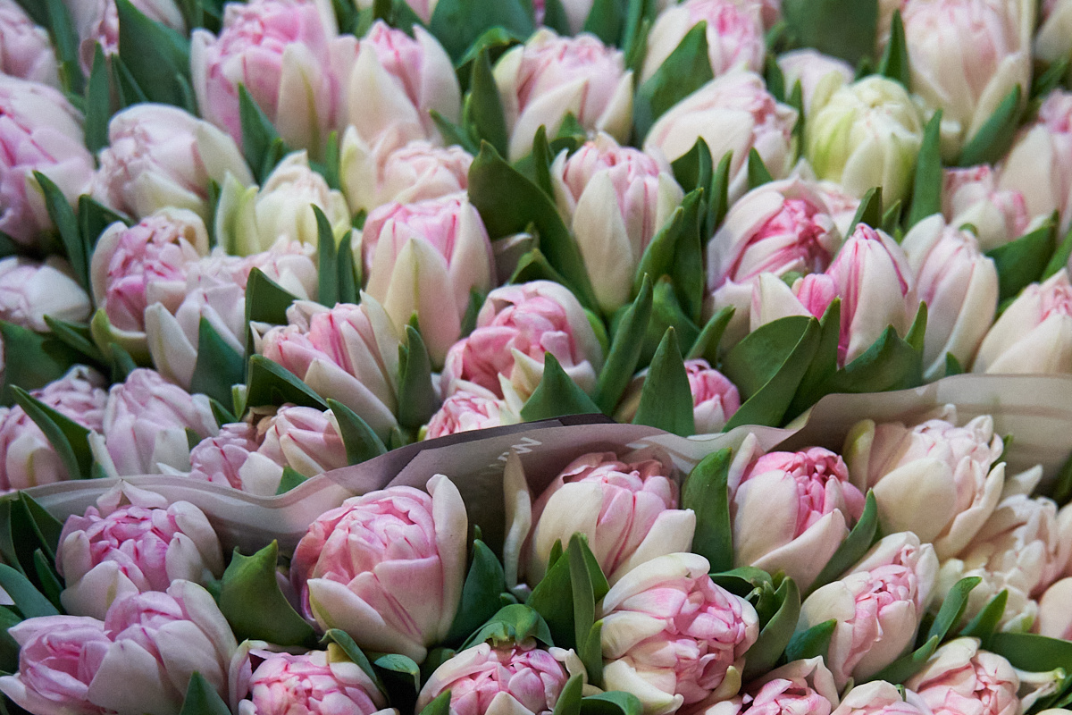    Фото: Лидия Аникина