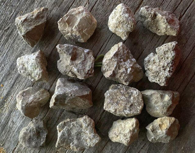    ИА “Орелград”