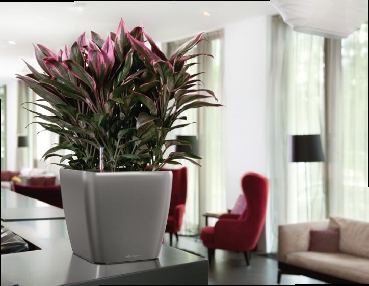 Фотография из интернета