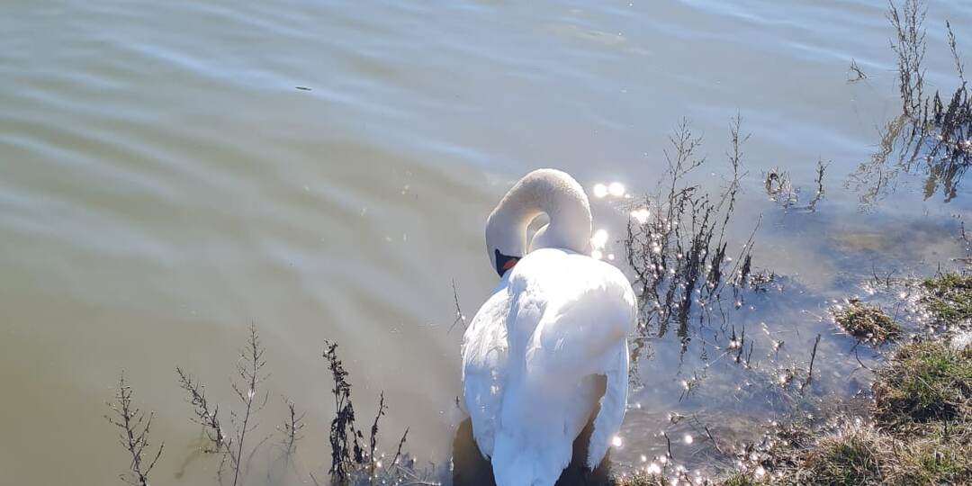 Начало марта в Словакии