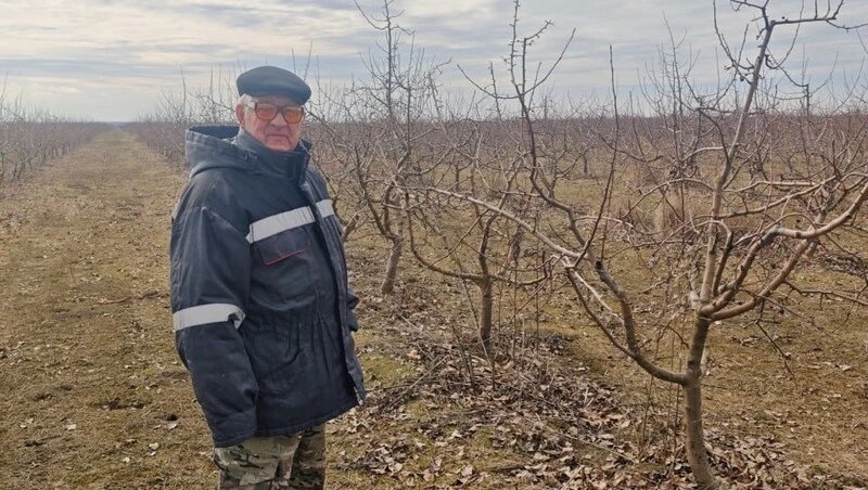      Фото: Министерство сельского хозяйства Ставрополья