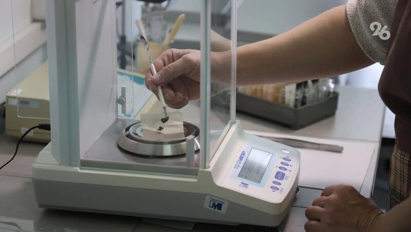    Аграрии готовятся к весенним работам Фото: Дмитрий Ахмадуллин / / ИА «Победа26»