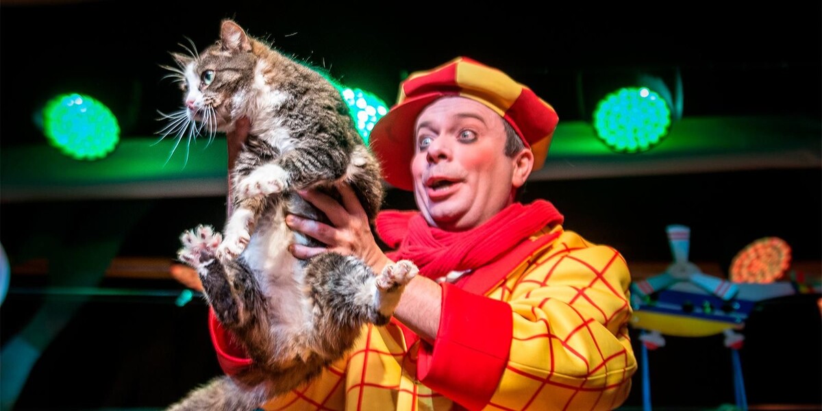    Фронтовые кошки в театре Куклачева