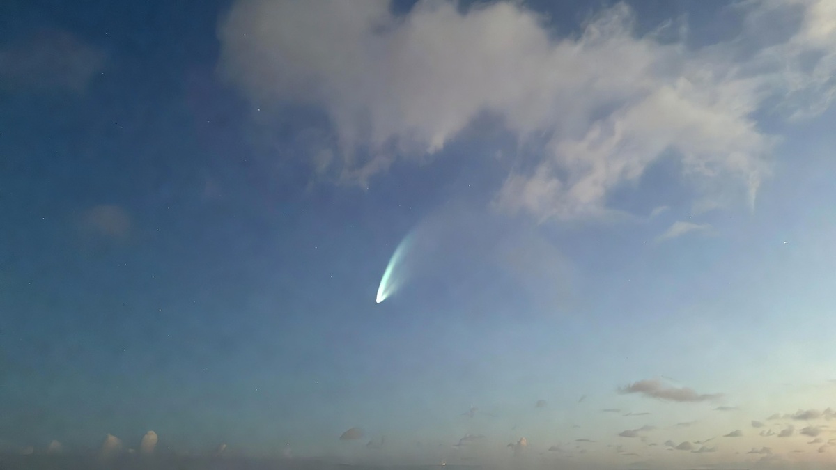 Изображение Grok  📷
