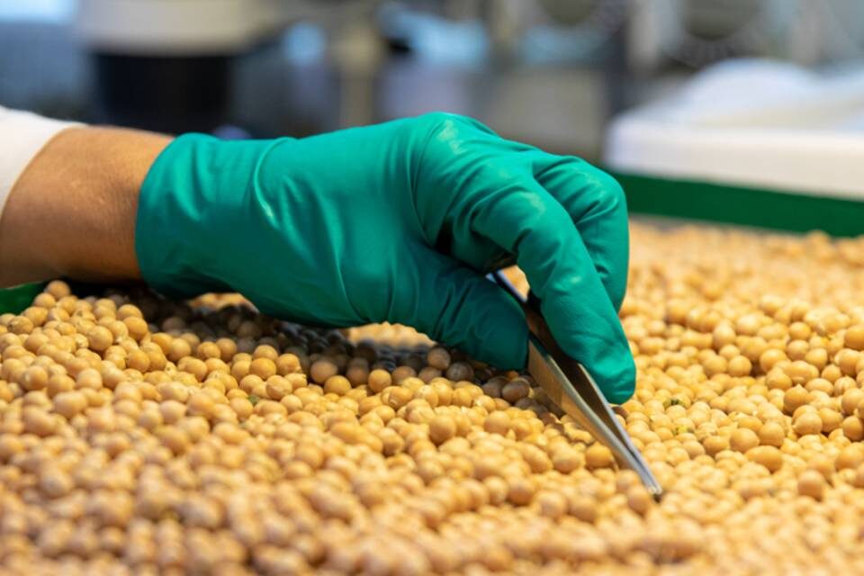    Фото: Волгоградский филиал ФГБУ «ЦОК АПК»