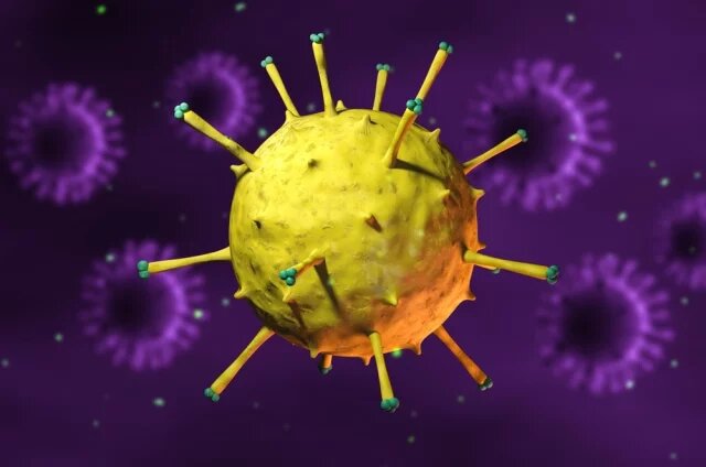    Какое отношение имеет вирус Эпштейна к спискам Эпштейна?