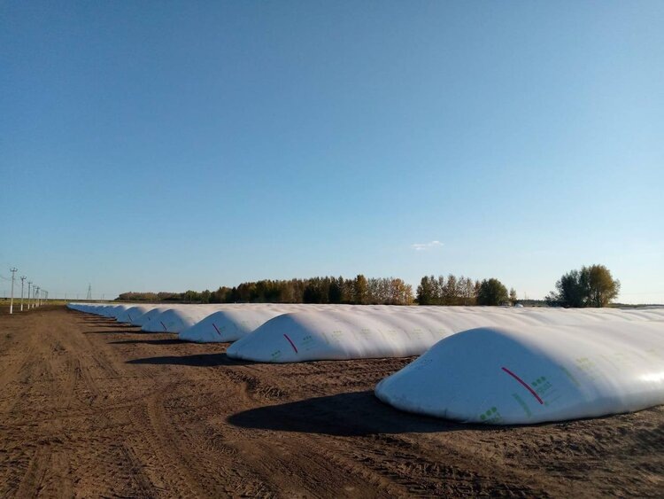    Как сохранить, чтобы выгодно продать: полимерные рукава решают проблему дефицита элеваторов в России