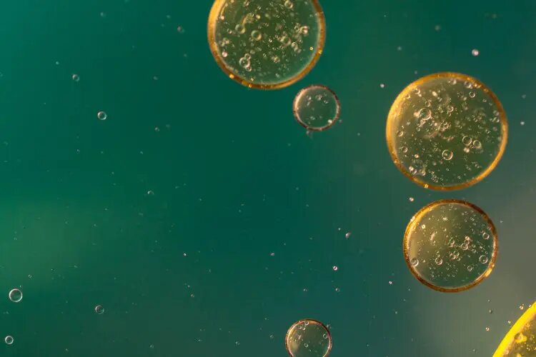    Фото: scientificrussia.ru София Васильева