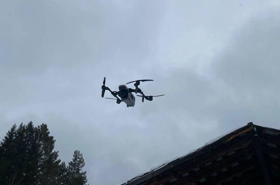    Фото: Минприроды РМЭ