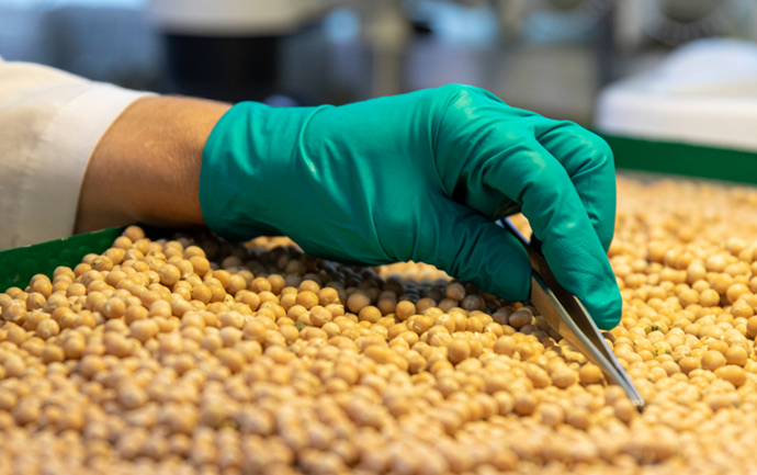 Фото: Волгоградский филиал ФГБУ «ЦОК АПК».