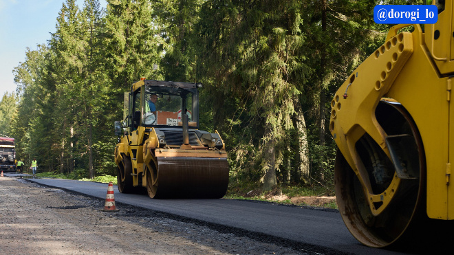 Фото: Dorogi_lo/telegram