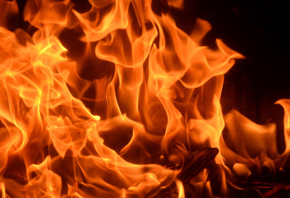    Shutterstock/FOTODOM